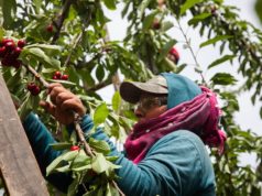 Suben los montos del desempleo rural