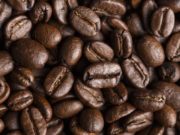 Perspectivas de desarrollo del café en el NOA 🔊