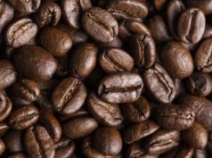 Perspectivas de desarrollo del café en el NOA 🔊