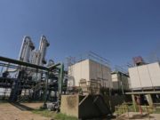 La producción de alcohol alcanza niveles históricos en el NOA