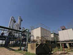 La producción de alcohol alcanza niveles históricos en el NOA