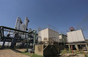 La producción de alcohol alcanza niveles históricos en el NOA