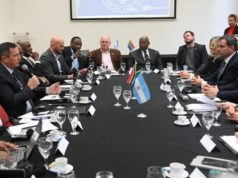 Argentina y Sudáfrica sellaron una hoja de ruta para el agro