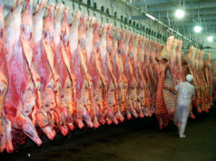 Más de 1 millón de cabezas a faena