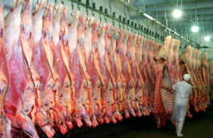 Más de 1 millón de cabezas a faena