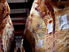 Subió el peso de faena