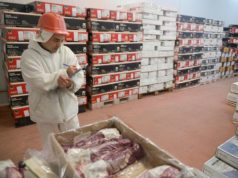 Argentina exportará 800 mil toneladas de carne