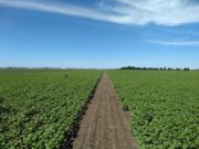 ADBlick pone el foco en las inversiones productivas