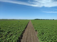 ADBlick pone el foco en las inversiones productivas