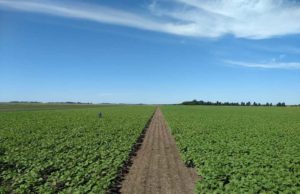 ADBlick pone el foco en las inversiones productivas