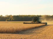 Las lluvias demoran la cosecha