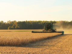 Las lluvias demoran la cosecha