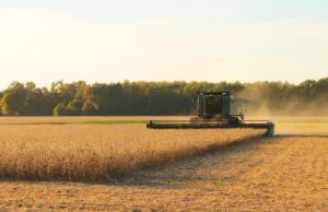 Las lluvias demoran la cosecha