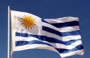 Uruguay perdió el 15% de sus novillos