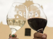 La vitivinicultura de altura tendrá su fiesta en Cachi