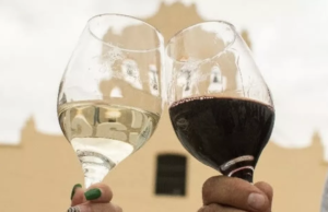 La vitivinicultura de altura tendrá su fiesta en Cachi
