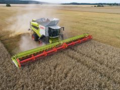 “La ventana de cosecha es cada vez más chica”