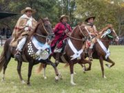 Llega el 44º Concurso Nacional de Caballos Peruanos de Paso