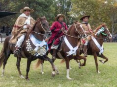 Llega el 44º Concurso Nacional de Caballos Peruanos de Paso