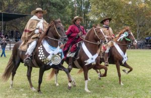 Llega el 44º Concurso Nacional de Caballos Peruanos de Paso