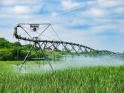 El Gobierno reglamenta el RIMI para impulsar inversiones en pymes