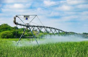 El Gobierno reglamenta el RIMI para impulsar inversiones en pymes