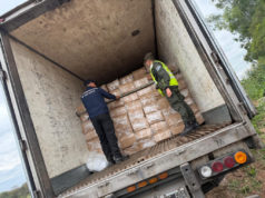 Senasa frenó una carga irregular de pescado en Salta