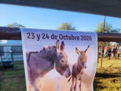 Los burros tendrán su evento