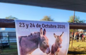 Los burros tendrán su evento