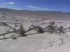 Puna salteña: una histórica mina de boratos retomó actividades