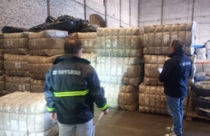 Primer embarque de lana sucia desde una barraca rural de Chubut