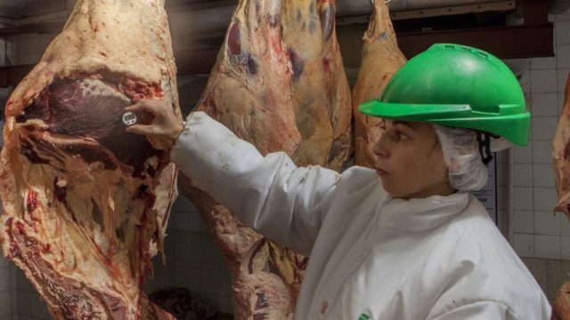 Carnes-2-1024x576