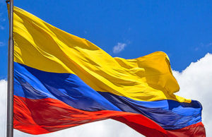 Colombia limita la exportación de terneros