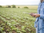 La inteligencia artificial gana terreno en los agronegocios