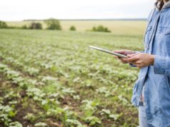 La inteligencia artificial gana terreno en los agronegocios