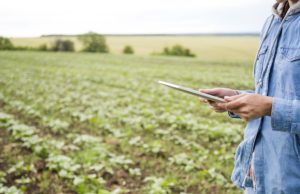 La inteligencia artificial gana terreno en los agronegocios