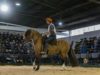 Expo FICCC 2026: Argentina dejó su huella y reafirmó el liderazgo internacional