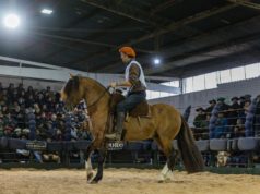 Expo FICCC 2026: Argentina dejó su huella y reafirmó el liderazgo internacional