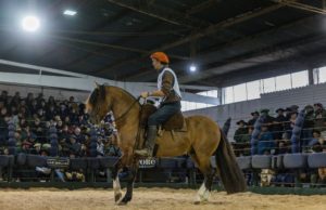 Expo FICCC 2026: Argentina dejó su huella y reafirmó el liderazgo internacional