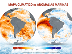 “Súper Niño”: qué dicen los pronósticos y qué riesgos hay