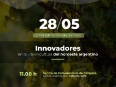 Cafayate: un estudio analizará la evolución vitivinícola del NOA