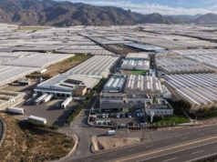 Syngenta abrió un centro para acelerar el desarrollo de semillas hortícolas