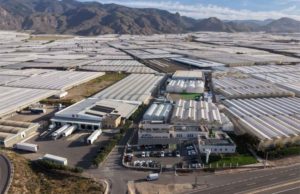 Syngenta abrió un centro para acelerar el desarrollo de semillas hortícolas