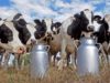 “Argentina es el país que más crece en producción de leche” 🔊