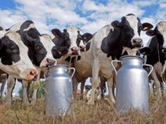 “Argentina es el país que más crece en producción de leche” 🔊