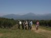 El Renatre elevó los montos de la prestación por desempleo rural