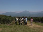 El Renatre elevó los montos de la prestación por desempleo rural