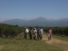 El Renatre elevó los montos de la prestación por desempleo rural