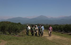 El Renatre elevó los montos de la prestación por desempleo rural