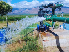 El desafío de producir con menos agua en los Valles Calchaquíes